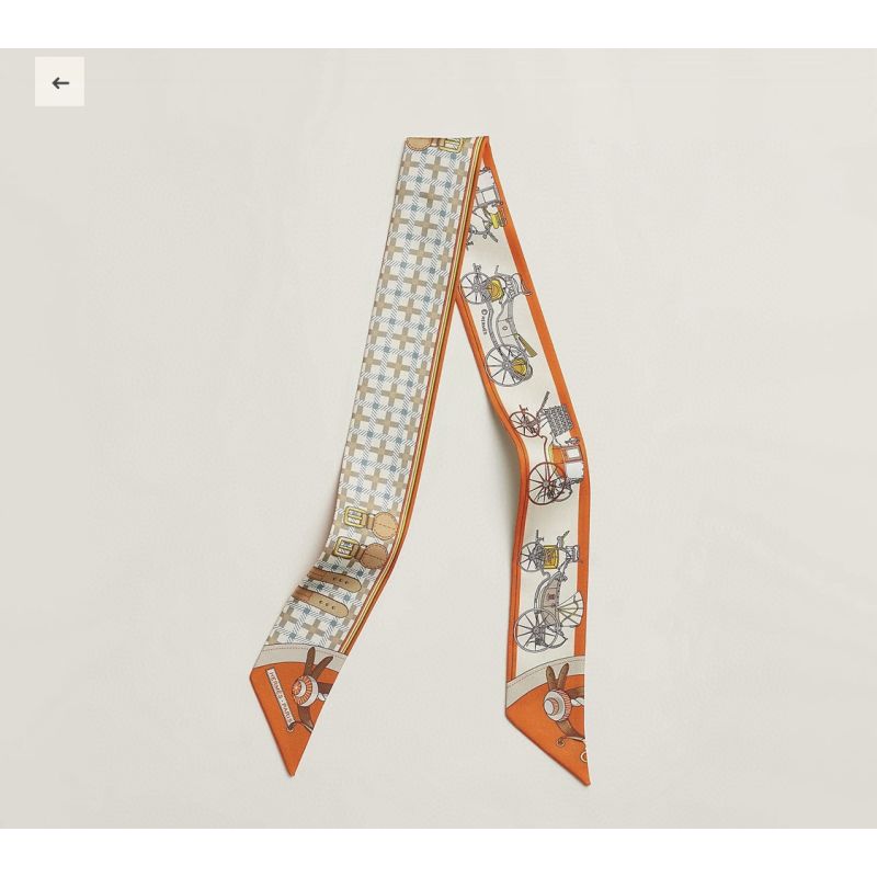 Hermes Silk Twilly 